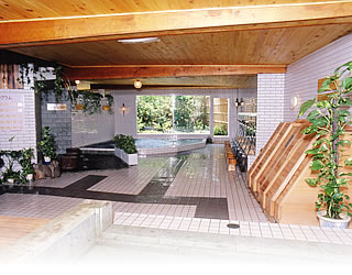 Kurhaus Ishibashi -Natural hot spring bath-